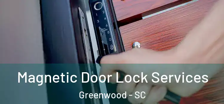 Magnetic Door Lock Services Greenwood - SC